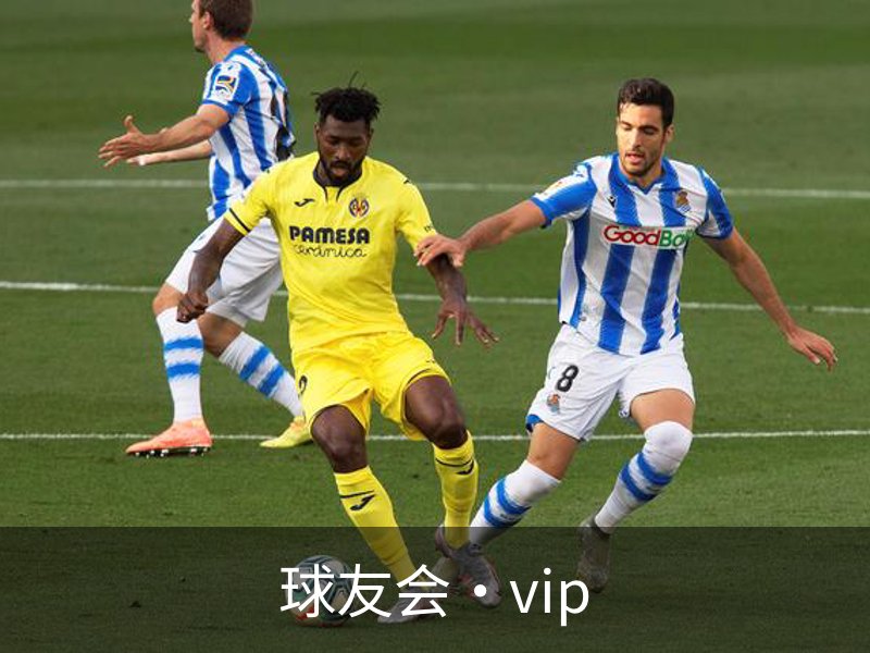 球友会·vip介绍
